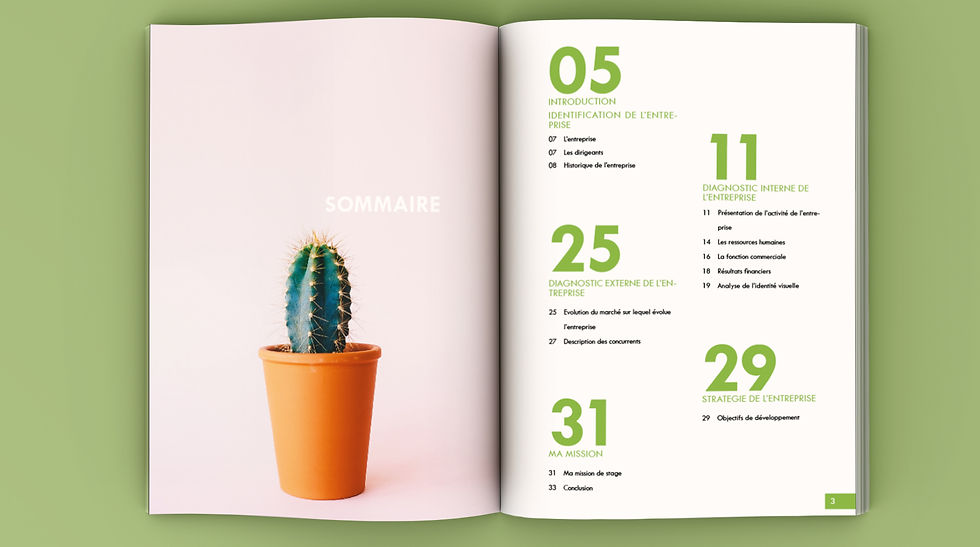rapport_interieur.jpg