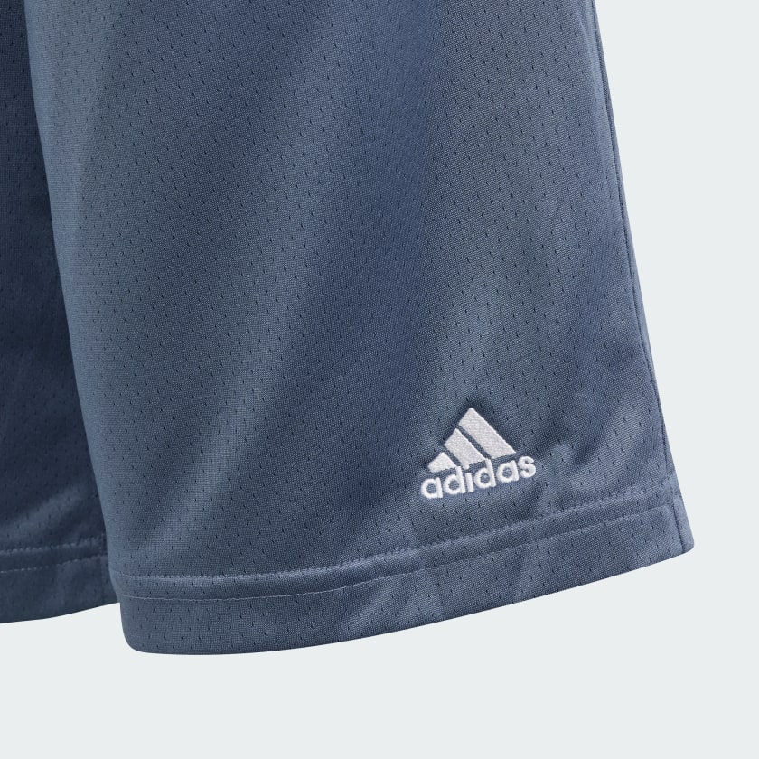 الصورة المصغرة: Kids • Sportswear BRAND LOVE MESH SHORTS KIDS