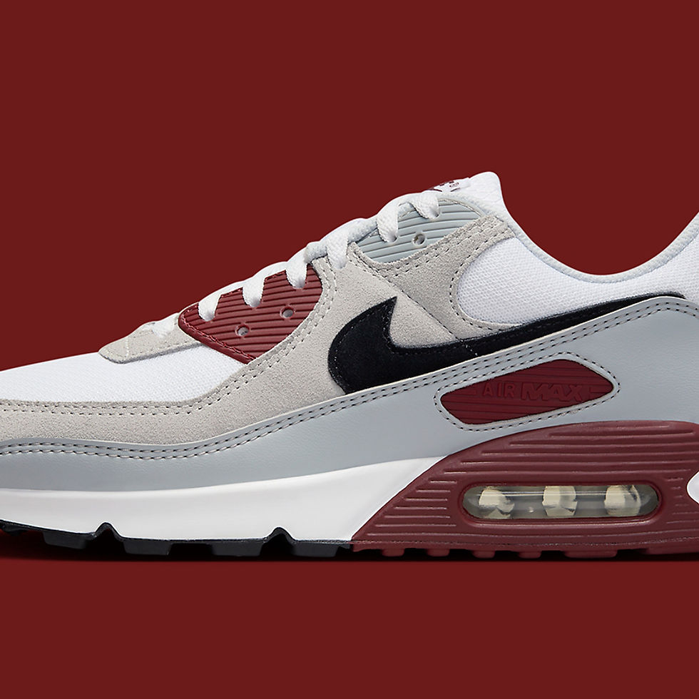Nike Air Max 90 Men's Shoes