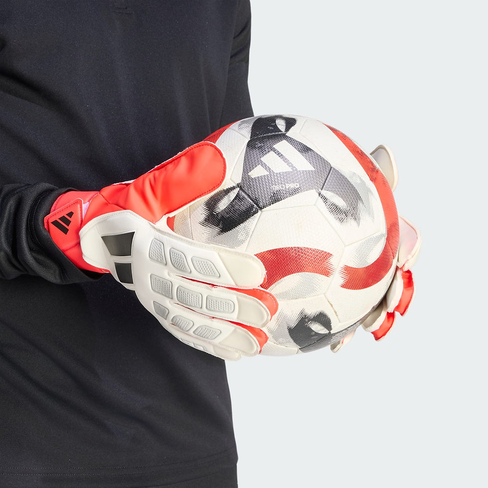 Thumbnail: Football Accessories PREDATOR GOALKEEPER GLOVE TRAINING