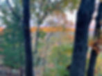 IMG_2322_edited.jpg