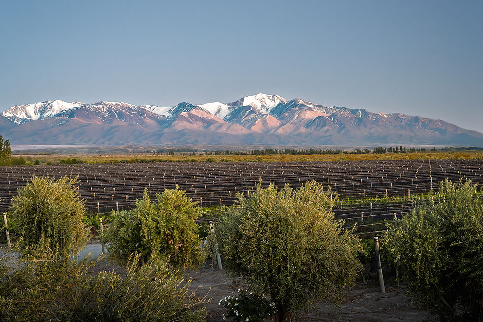 Malbec World Month trade tasting