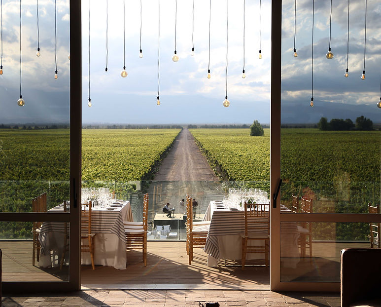 Masters of Wine 002.jpg