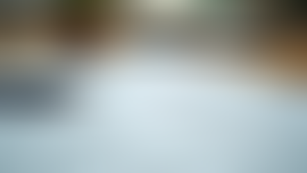 Unbeatable Flash Sale: Repair Your Credit with 3 Bureaus for Only $75 for 48 Hours