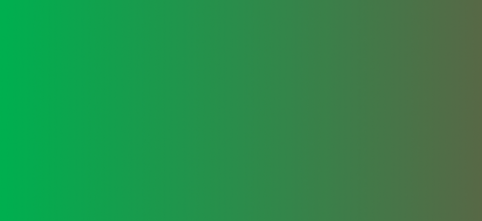 Rectangle 246.png