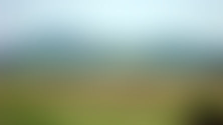 Die Paulischer „Hutwad“