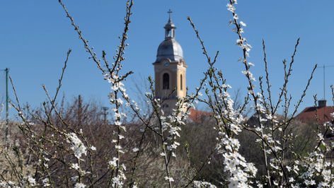 Maiandacht unserer Kindheit