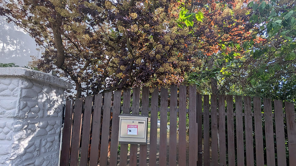Das Tor zum Paradies