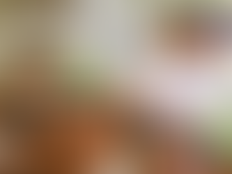 Equoterapia, o que é?