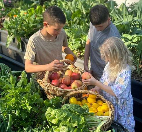 RiverbankOrganics_EmuHeights.jpeg