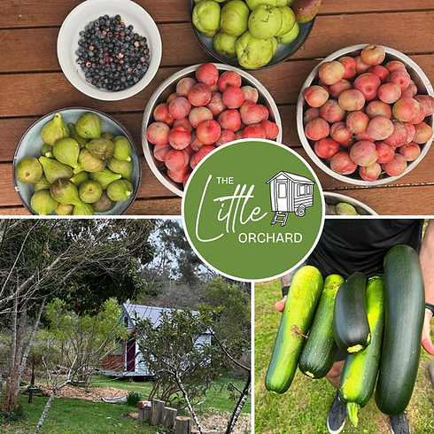 LitteOrchard_Katoomba.png