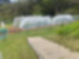 Mid mountains community garden.jpg