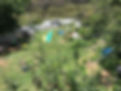 Leni Nyssen 45 Rawson pde leura.jpeg