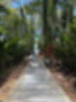 IMG_3496.jpeg