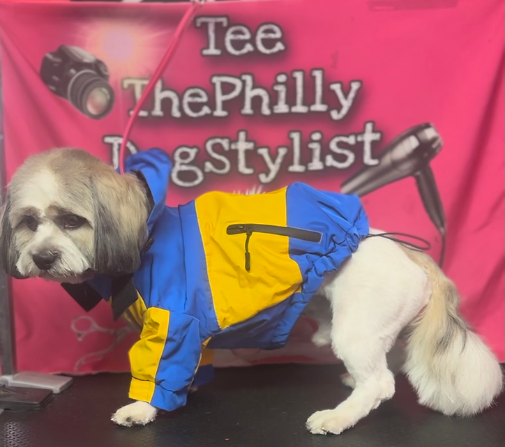 Blue & Yellow Doggy Windbreaker Jacket | ThePhillyDogStylist