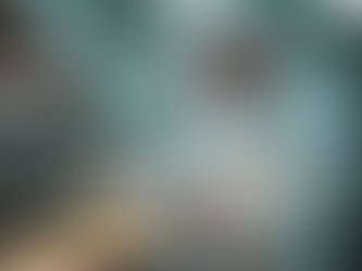 Food Safety and Quality Basics: External Support