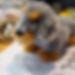 IMG-20190716-WA0023_edited.jpg