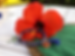 IMG_0745_edited.png