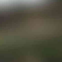 Enchanting South Korea