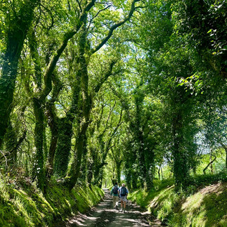 The Santiago de Compostela