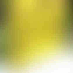 Bhutan: The Mystical Land of the Thunder Dragon