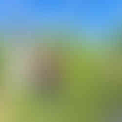 The Santiago de Compostela