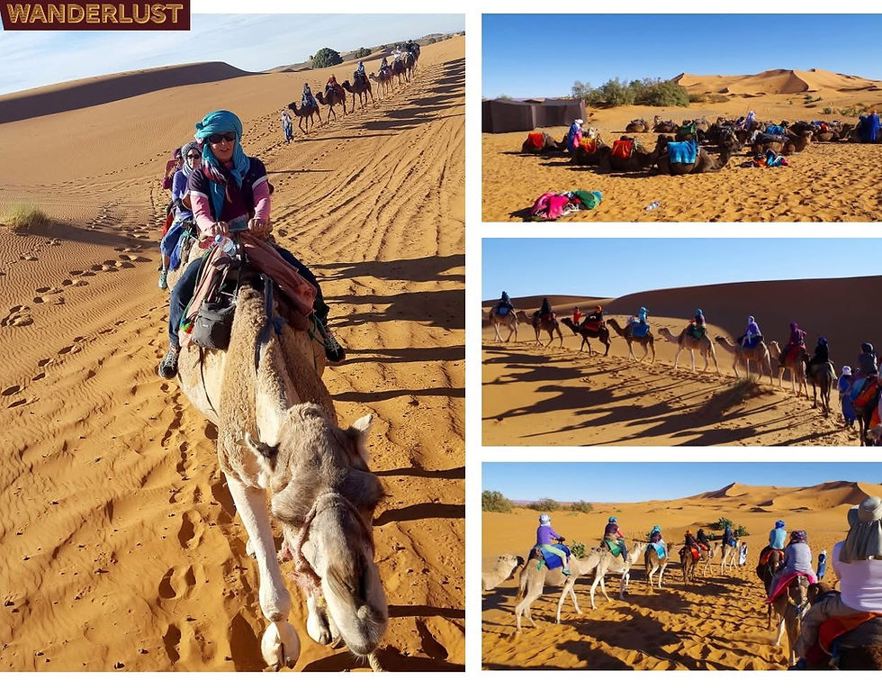 Authentic Morocco & Desert Discovery
