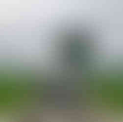 Java, Bali & Northern Thailand: Temples, Tropics & Timeless Traditions