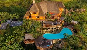 Wild Uganda and the Big Five Adventure