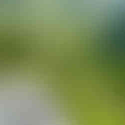 The Trek of Dharma, India