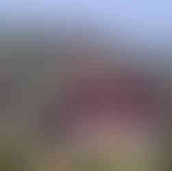 Mongolia and Silk Road of China