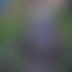 Nepal: Footsteps Through the Heart of the Himalayas