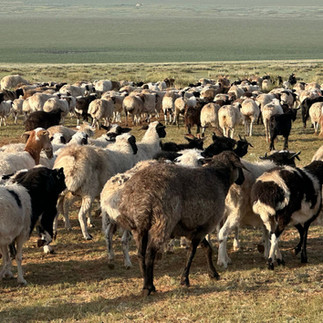 Mongolia and Silk Road of China