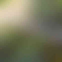 Nepal: Footsteps Through the Heart of the Himalayas