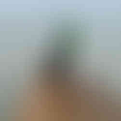 ICELAND – Fire, Ice & the Spirit of Adventure