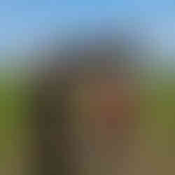 Mongolia and Silk Road of China