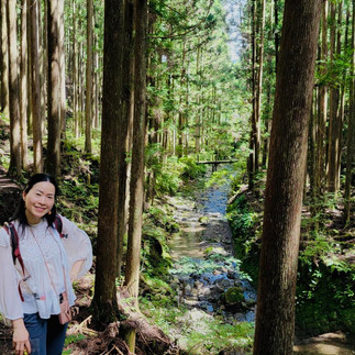 Japan's Kumano Kodo Hiking Tour