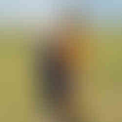 Mongolia and Silk Road of China