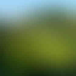 Nepal: Footsteps Through the Heart of the Himalayas