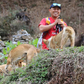 Bhutan: The Mystical Land of the Thunder Dragon
