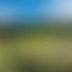 Japan's Kumano Kodo Hiking Tour