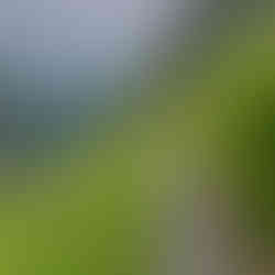 The Trek of Dharma, India