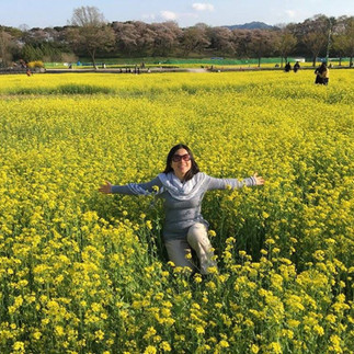 Enchanting South Korea