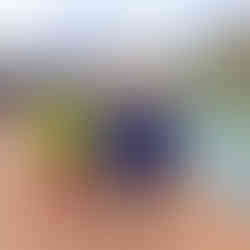 The Trek of Dharma, India