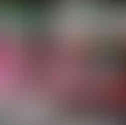 Cuba: Havana, Hemingway & Beyond