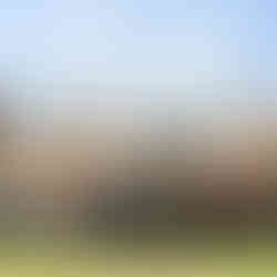 Mongolia and Silk Road of China