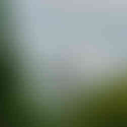 Japan's Kumano Kodo Hiking Tour