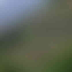 Nepal: Footsteps Through the Heart of the Himalayas