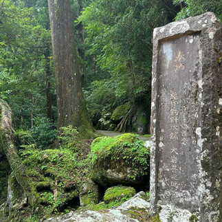 Japan's Kumano Kodo Hiking Tour
