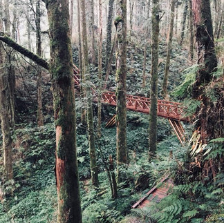 Taiwan: Mountains, Culture & Night Market Magic